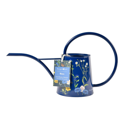 Blue indoor watering can with long spout, arched handle, and meadow floral design.