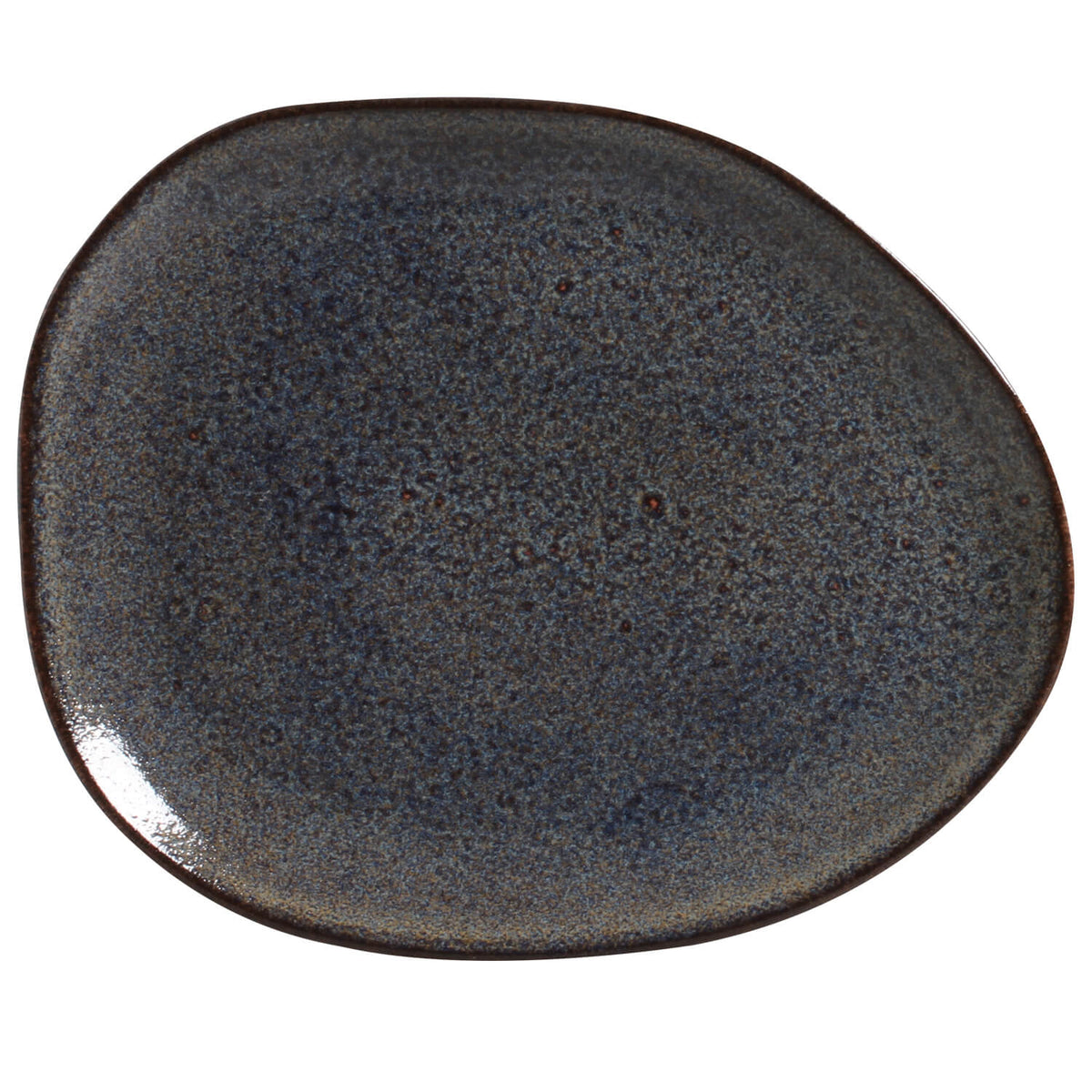 Oval Dinner Plate Set of 6