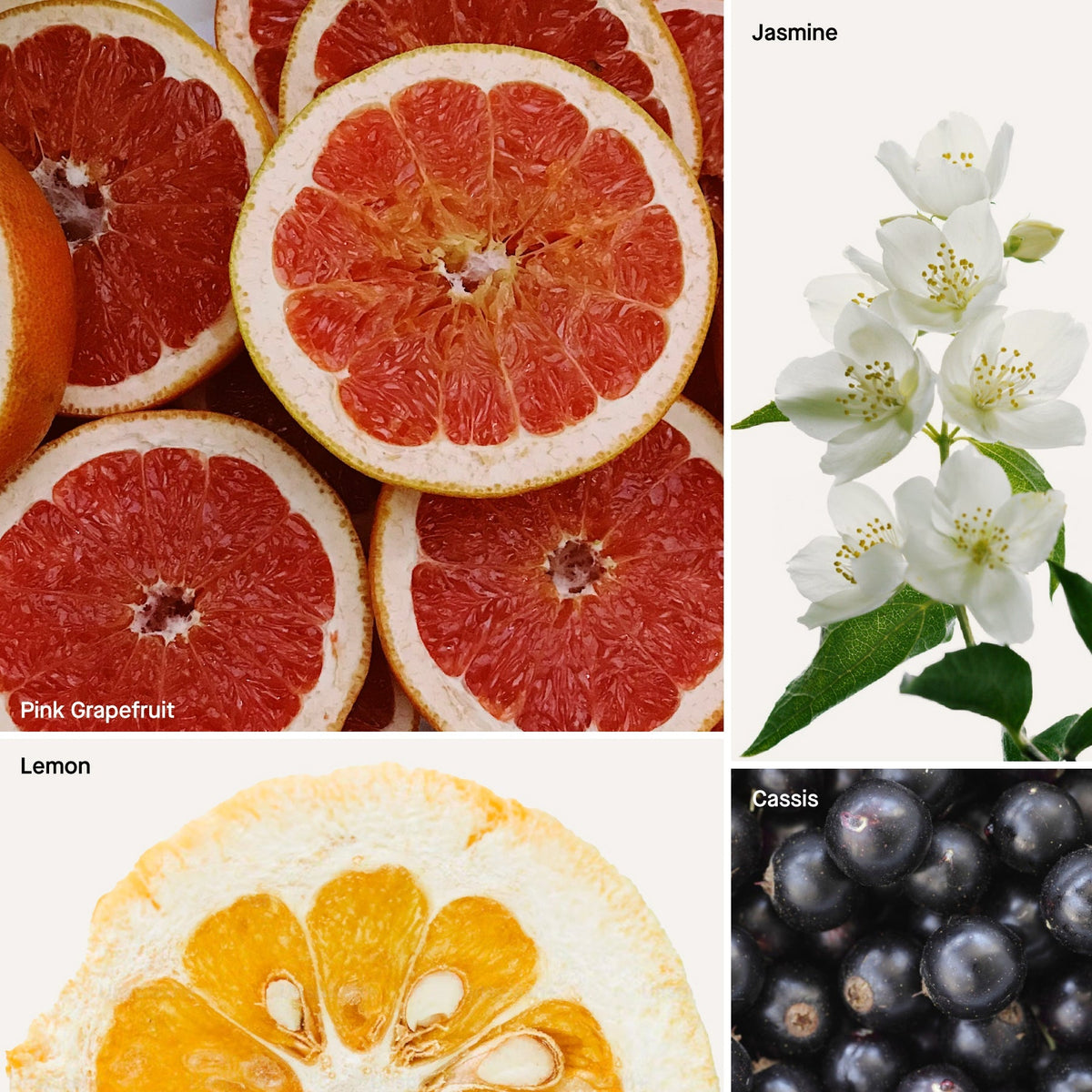 Grapefruit ingredient collage with lemon, jasmine flower, and dark cassis berries