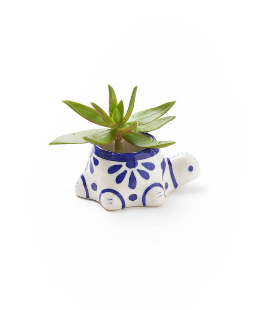Hand-painted ceramic turtle mini planter with upright green succulent leaves, blue and white