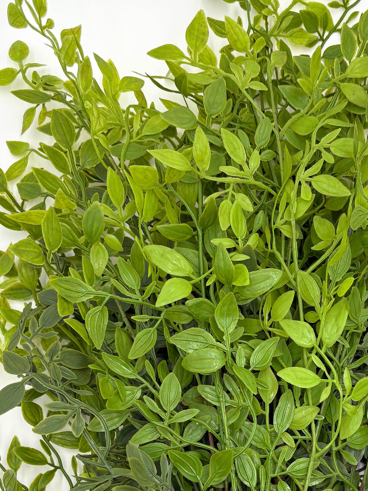 Artificial ruscus stems bundle, bright green leaf cluster with dense small foliage