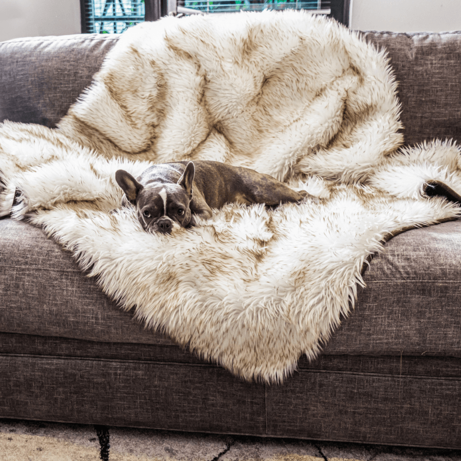 White shaggy waterproof throw blanket on gray sofa, dog curled under plush surface