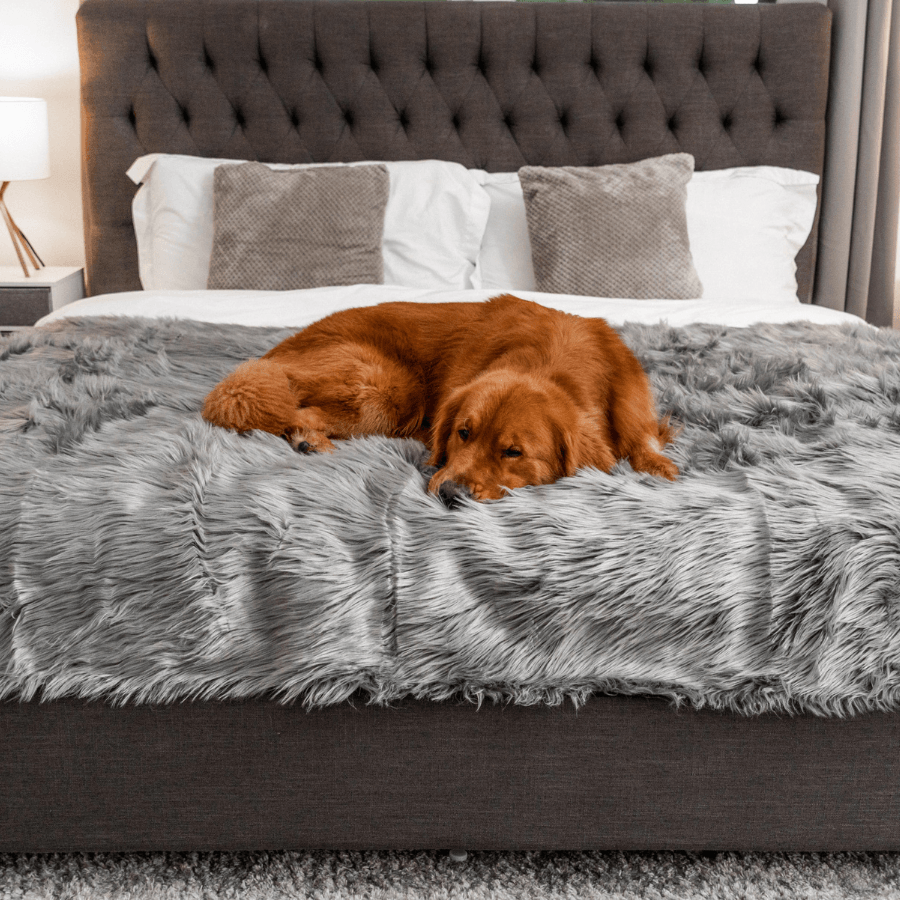Charcoal grey shaggy waterproof throw blanket on a bed with a dog resting