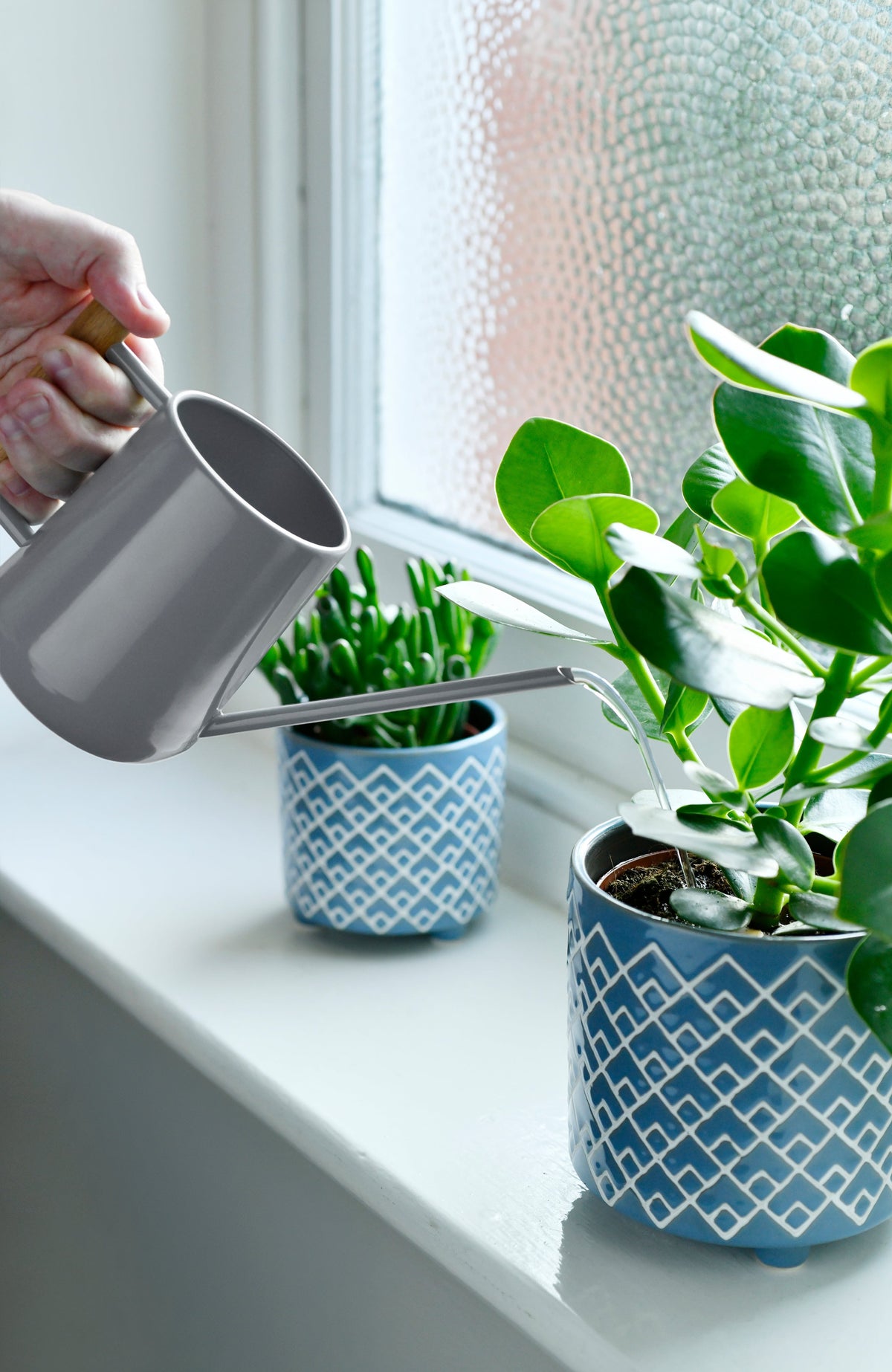 Charcoal indoor watering can pouring into houseplants in blue patterned pots