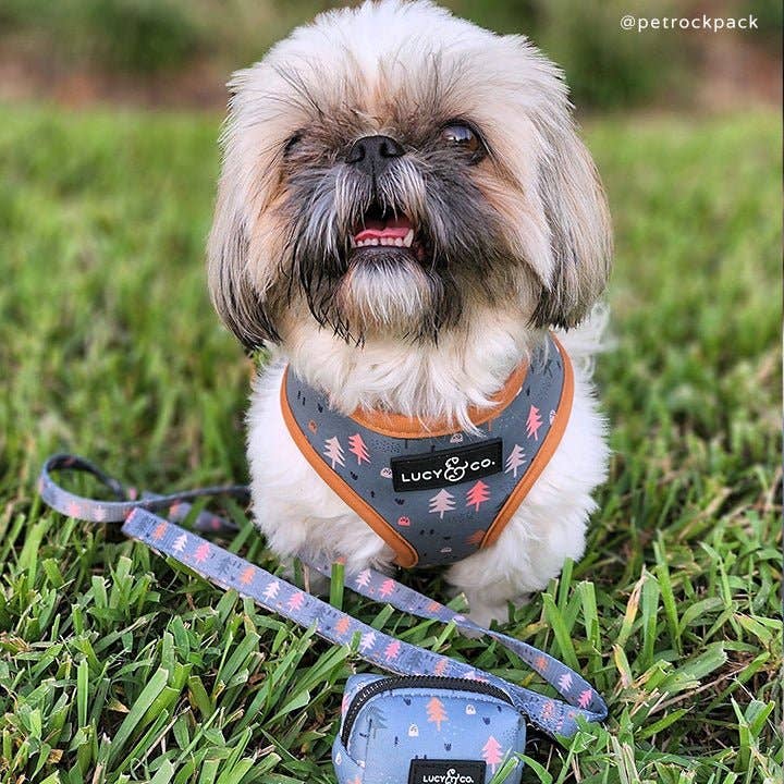 Tree-print dog leash shown beside a dog wearing a matching harness.