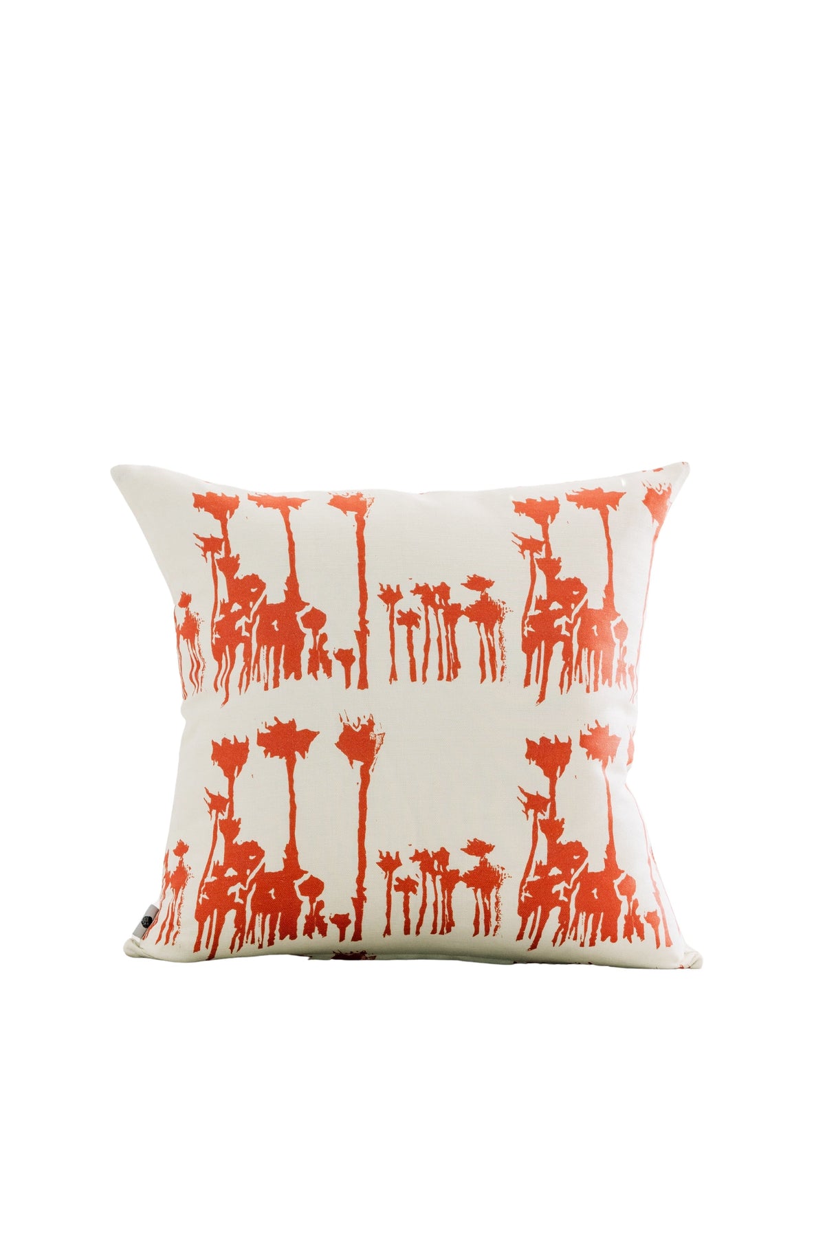 Avenida in Canyonlands Pillow