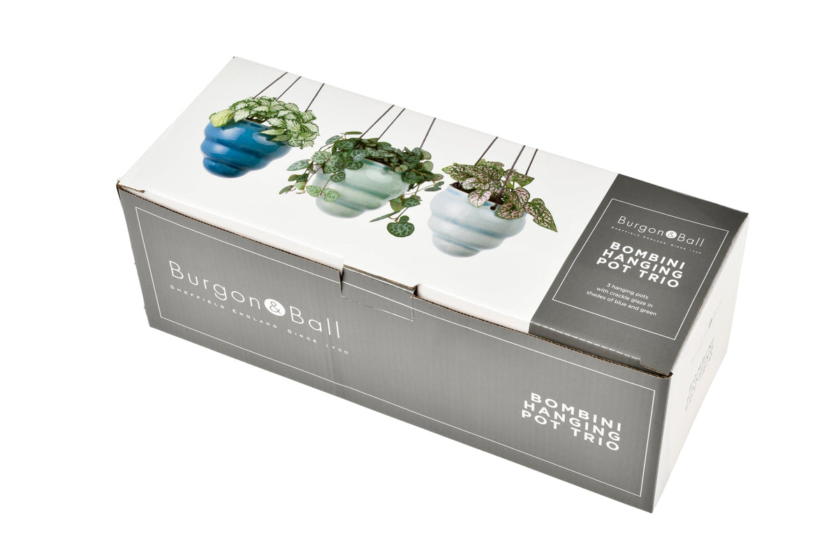 Burgon & Ball boxed hanging baby bombini trio vases set packaging
