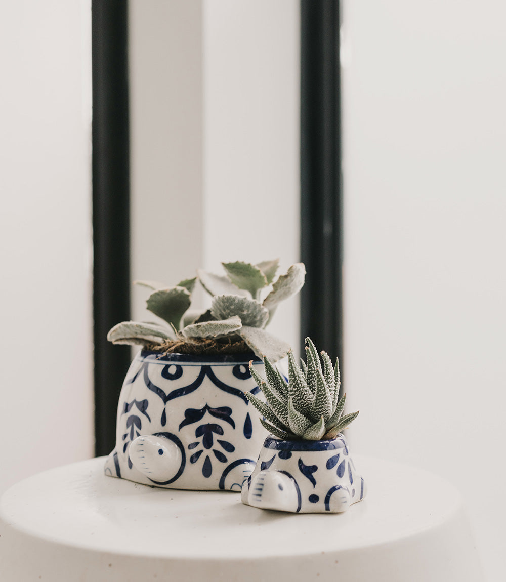 Hand-painted ceramic turtle succulent planter, blue-and-white pattern with small succulents