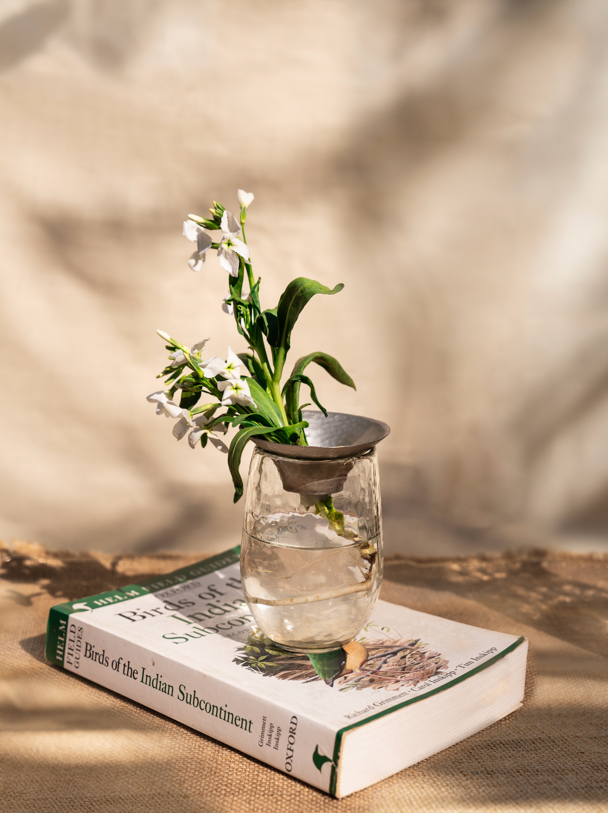 Glass propagation vase with hammered texture and silver lid, holding white flowers