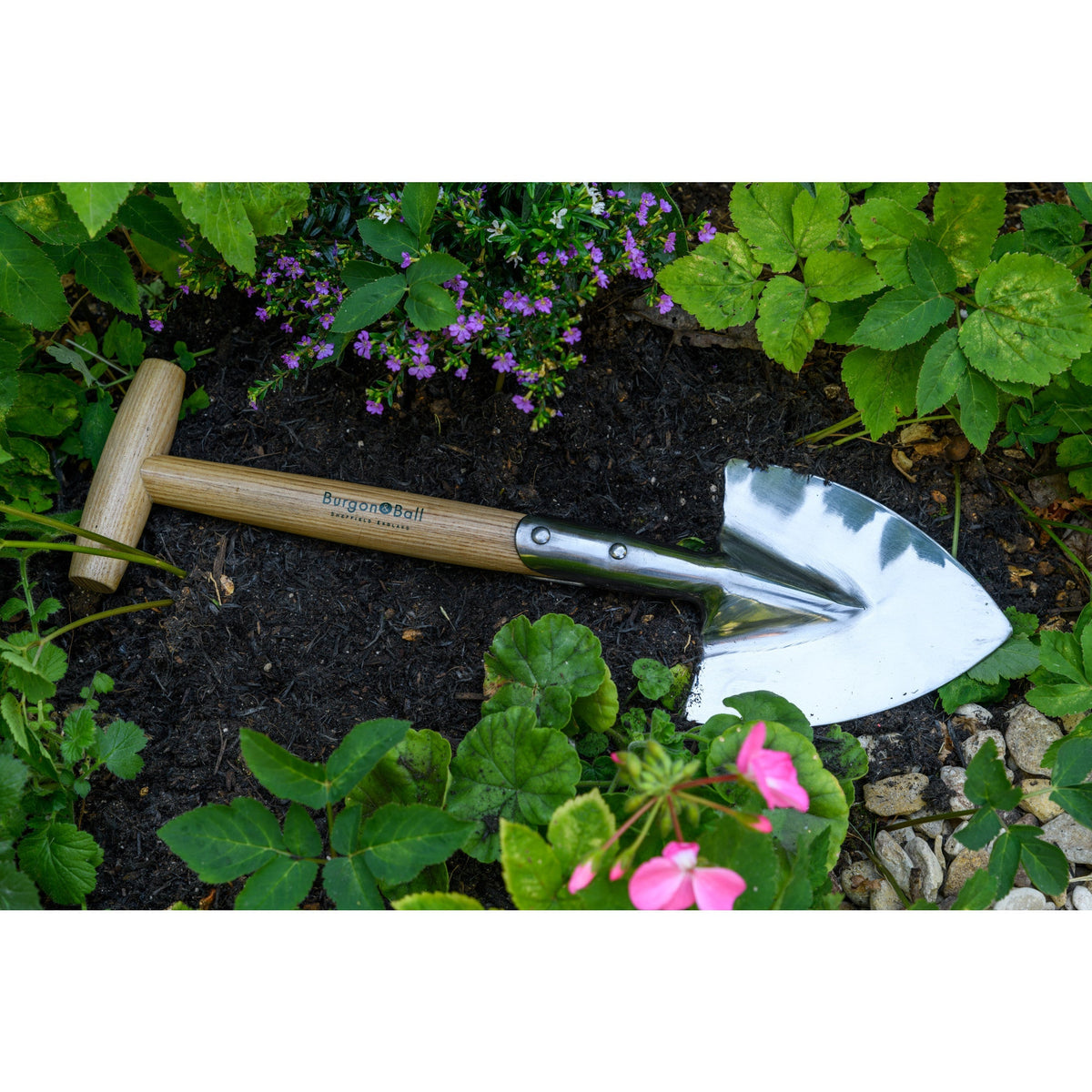 Small spade shovel with shiny stainless-steel blade and wooden handle