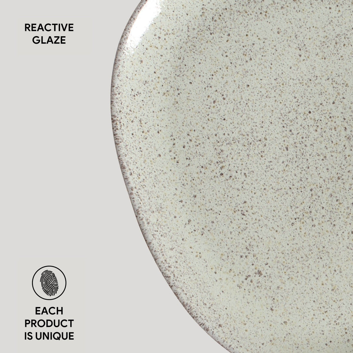 Oval Dinner Plate Set of 6