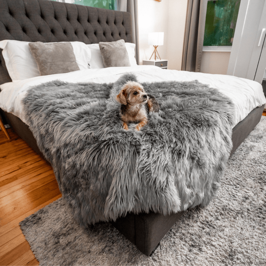 Charcoal grey shaggy waterproof throw blanket covering a bed with faux-fur texture