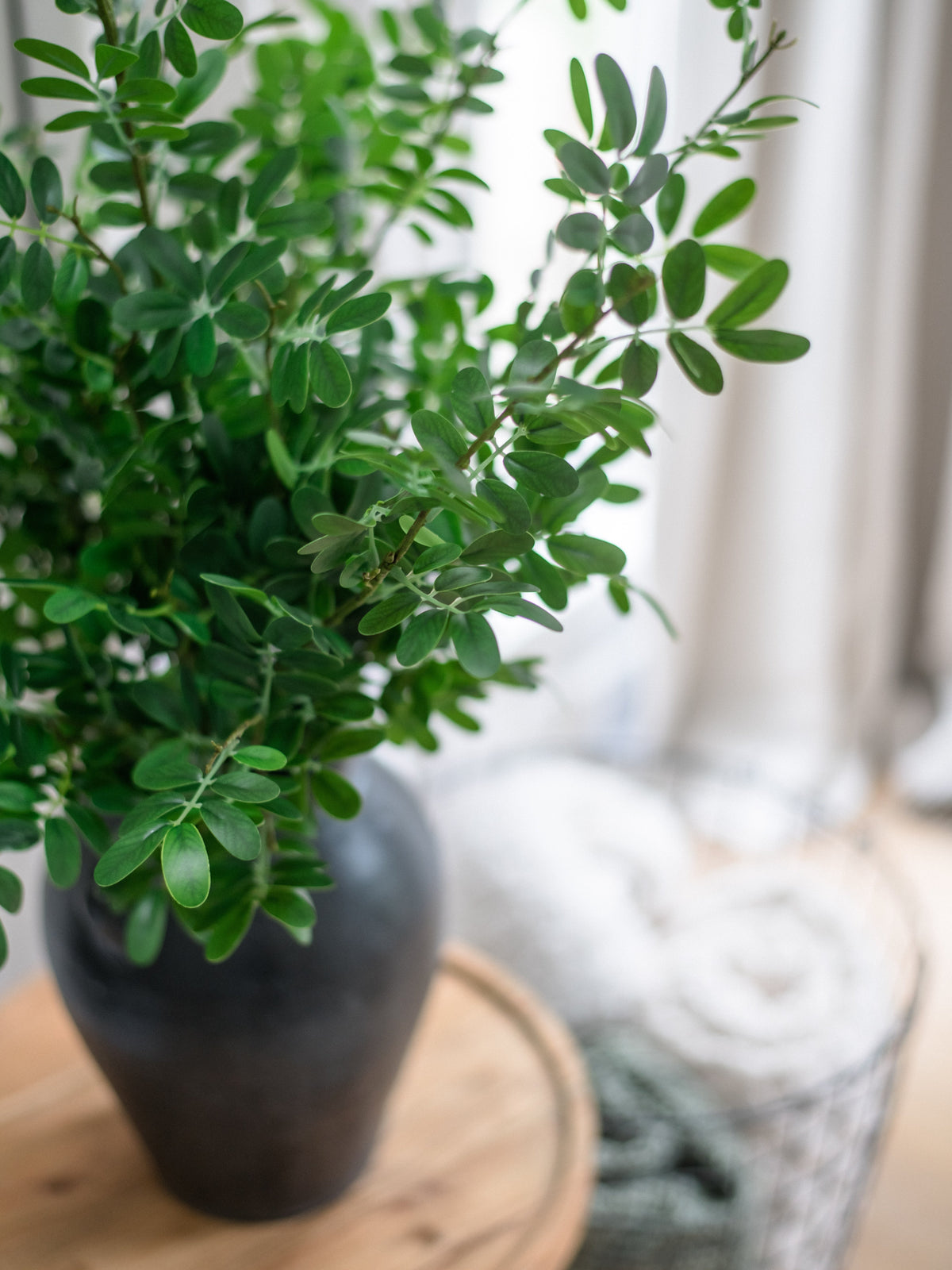 Artificial boxwood stems bundle of 4, close-up green leaves in dark vase