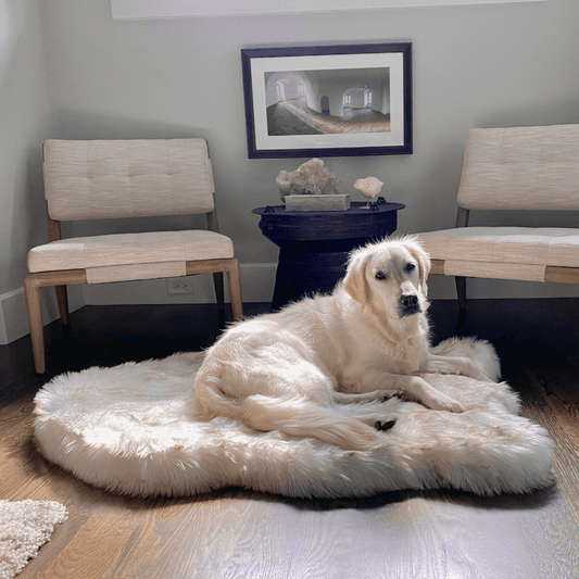 PupRug by Paw.com® Faux Fur Orthopedic Dog Bed - Curve White with Brown Accents