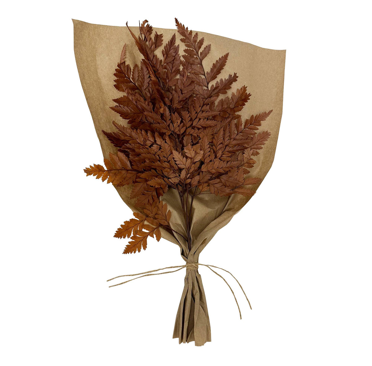 Dried leaf bouquet in kraft paper sleeve with twine bow, mahogany brown foliage