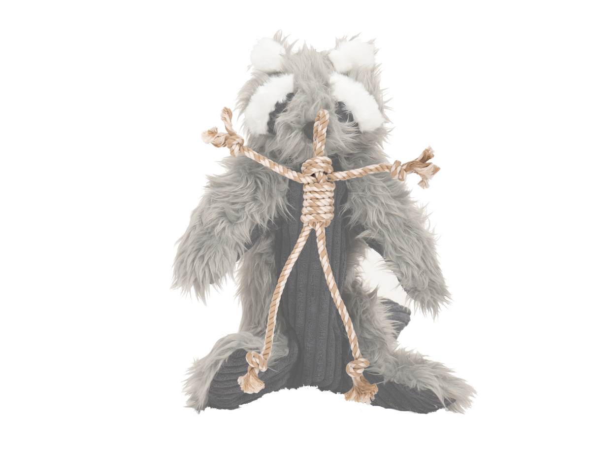 Raccoon plush dog toy secured with a tan rope brace