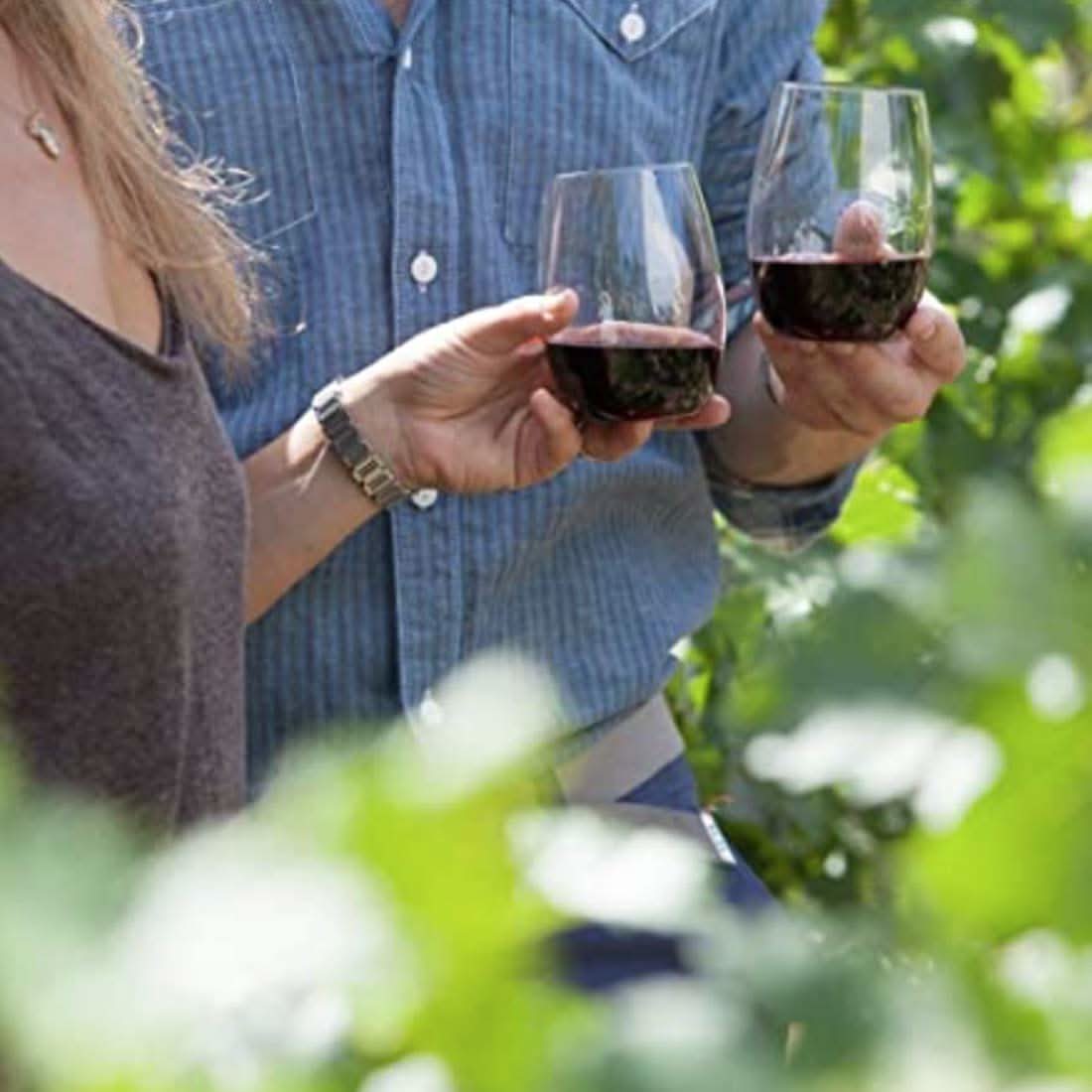 People clinking clear stemless wine glasses with red wine outdoors