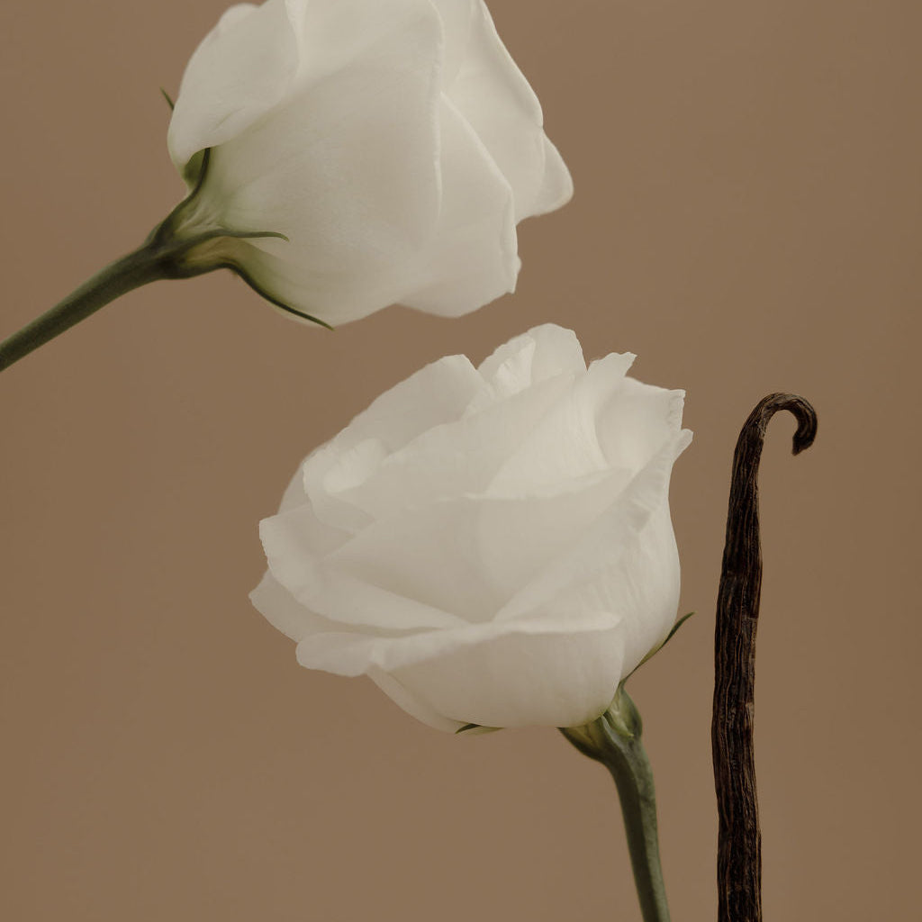 Perfume travel spray bottle with black top next to white flower blossoms