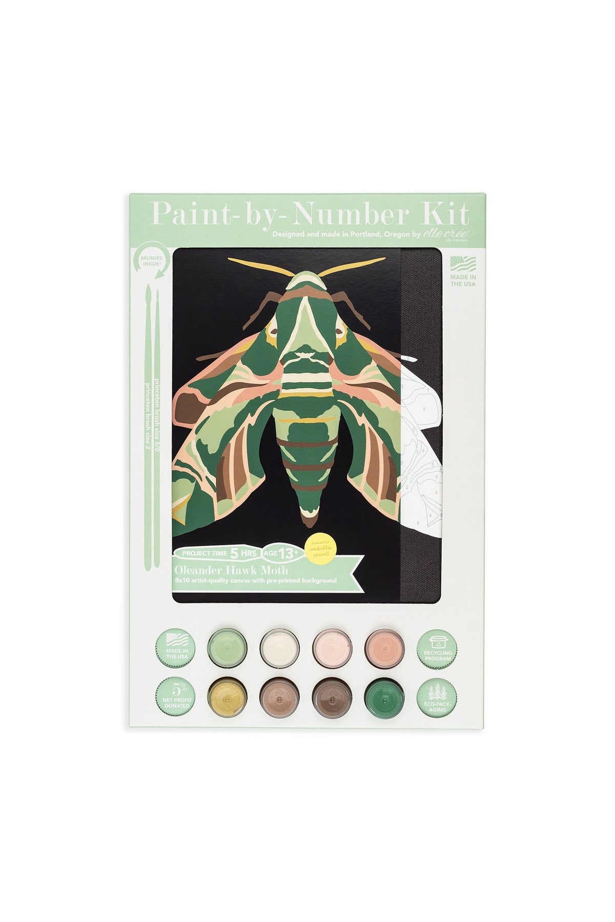 8x10 paint-by-number kit with hawk moth print and numbered paint pots