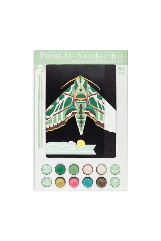 8x10 paint-by-number kit with Banded Sphinx Moth design on box and paint pots