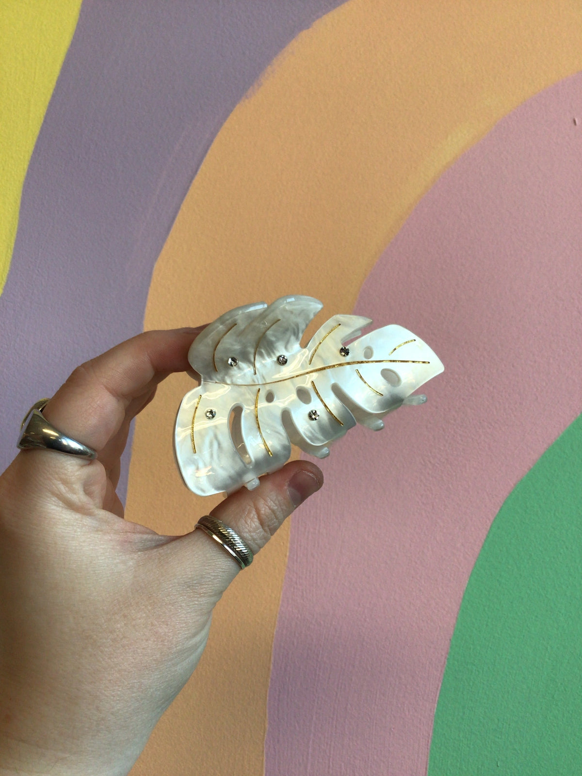 White translucent monstera leaf hair claw with prongs