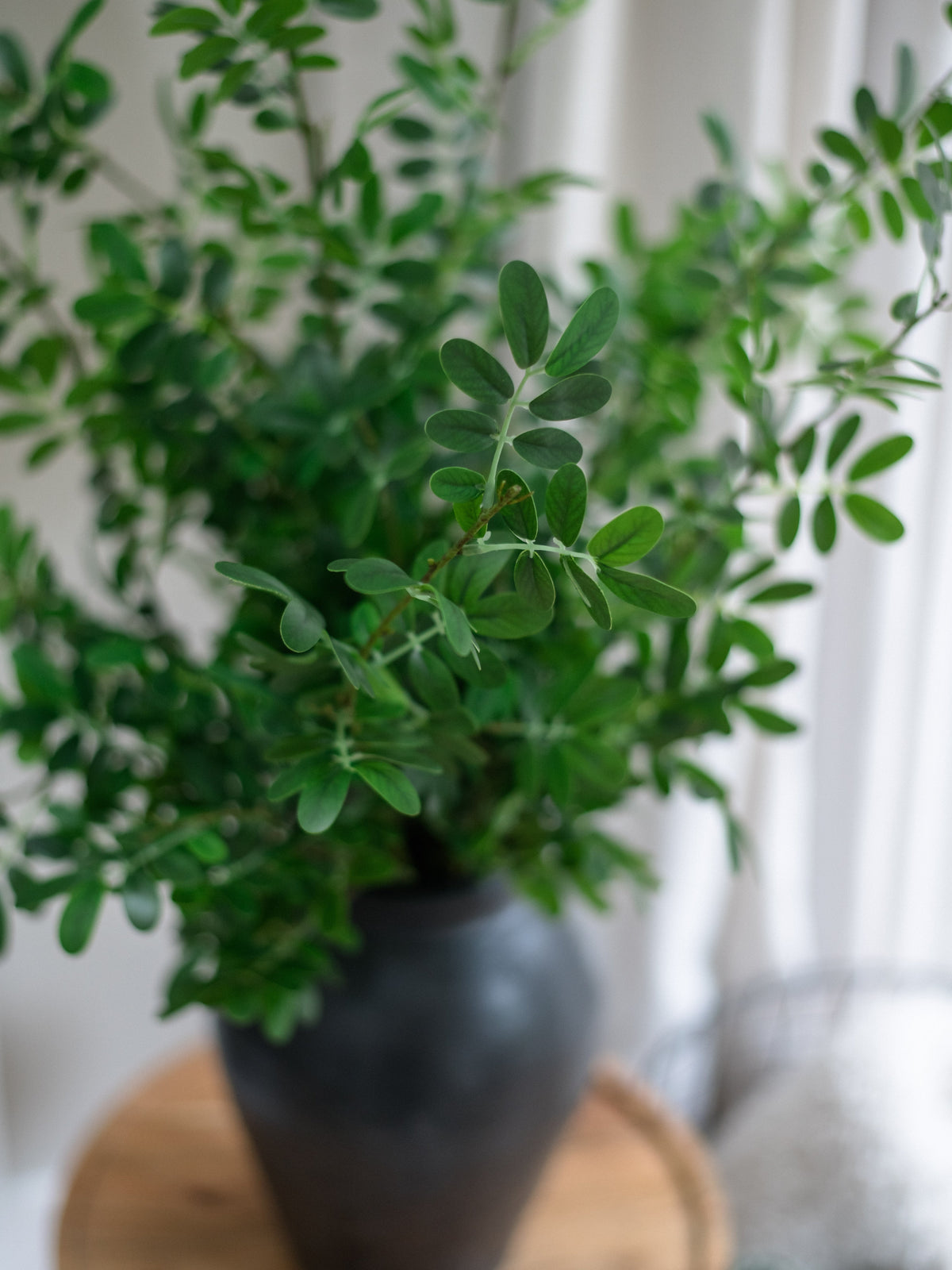 Artificial boxwood stems bundle of 4, close-up of green leaf clusters