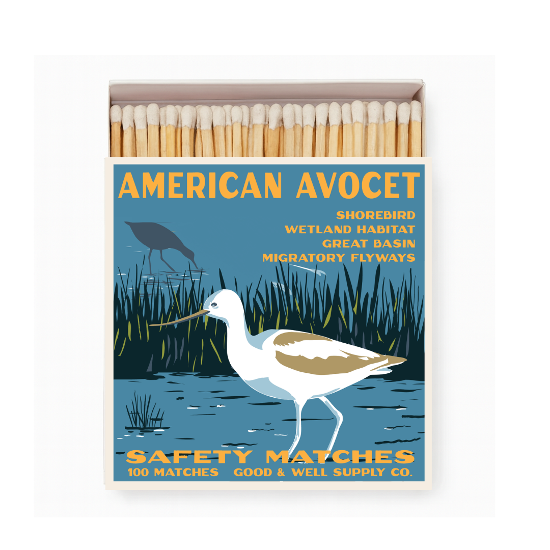 American Avocet safety match box with bird illustration and 100 matches