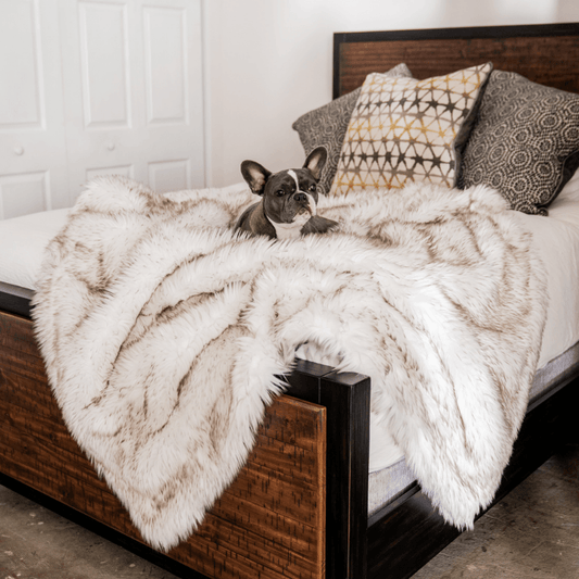 White shaggy waterproof throw blanket with brown trim, laid on bed beside dog