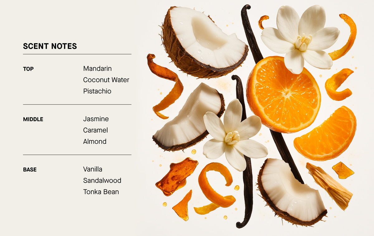 Perfume mist scent notes diagram with vanilla, coconut water, jasmine, sandalwood
