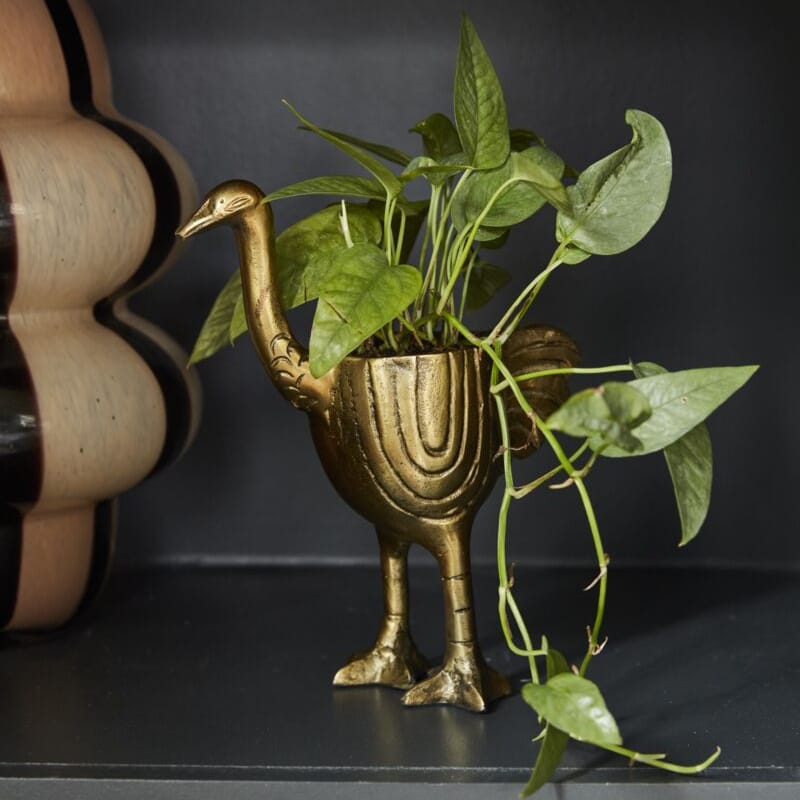 Antique gold ostrich-shaped decorative planter with green stems spilling from top