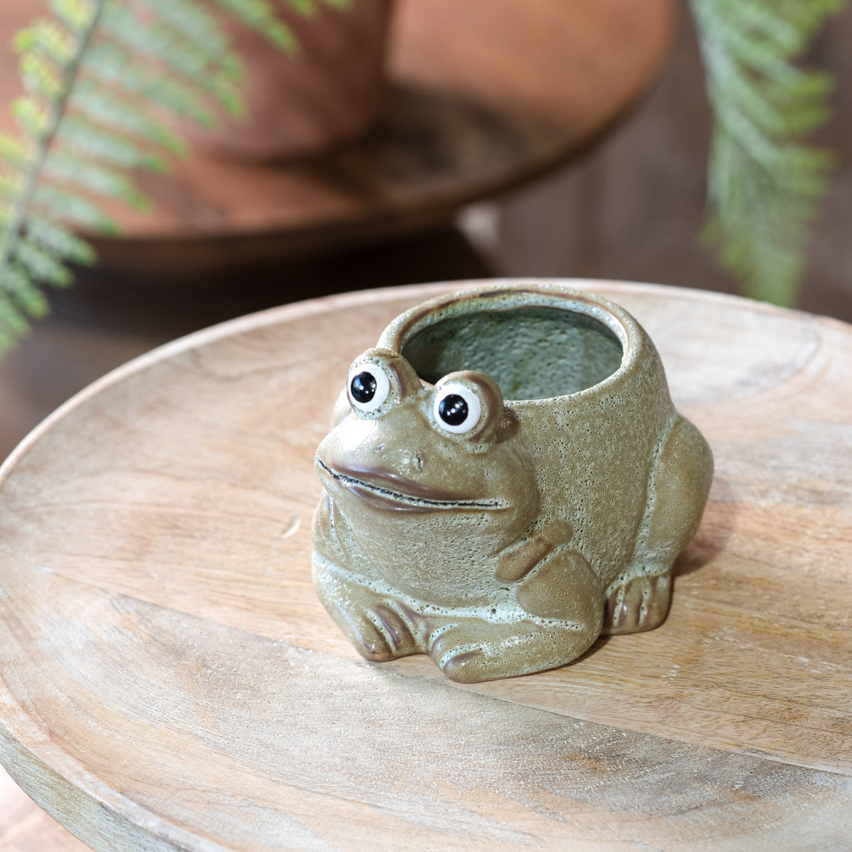 Ceramic frog mini planter with succulent inside, textured beige-green finish