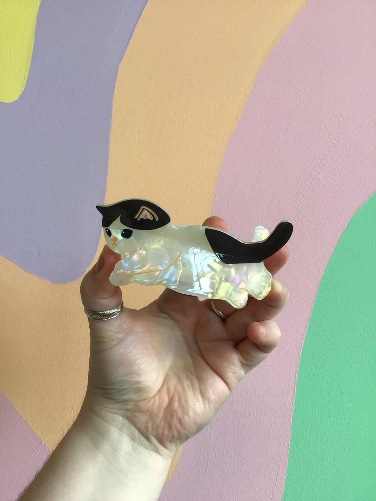 Clear cat hair claw with black eye patches, pirate hat, and yellow eyes