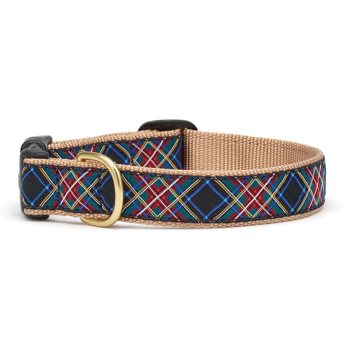 Narrow dog collar with blue tartan pattern and gold buckle, adjustable strap