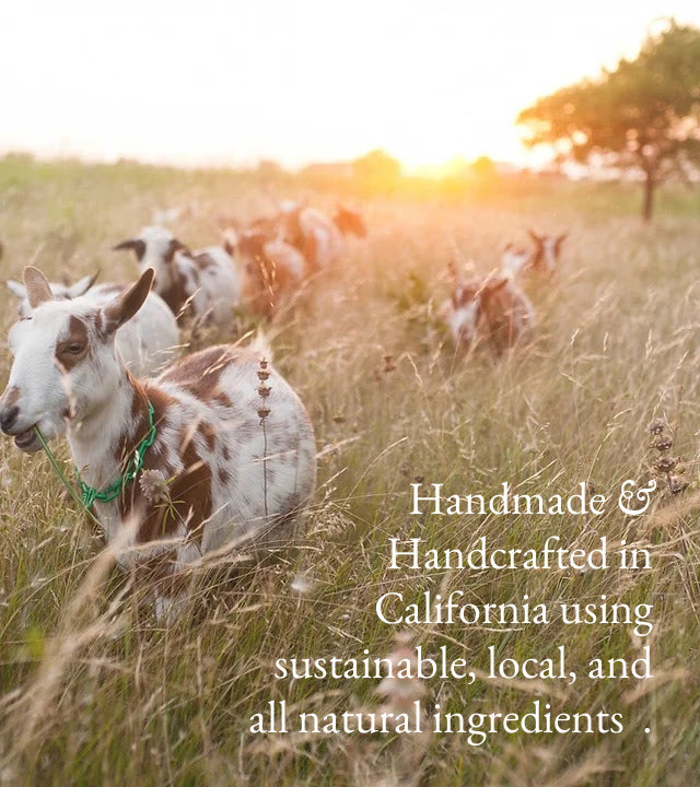 Goat milk hand and body lotion handmade in California, shown with goats outdoors