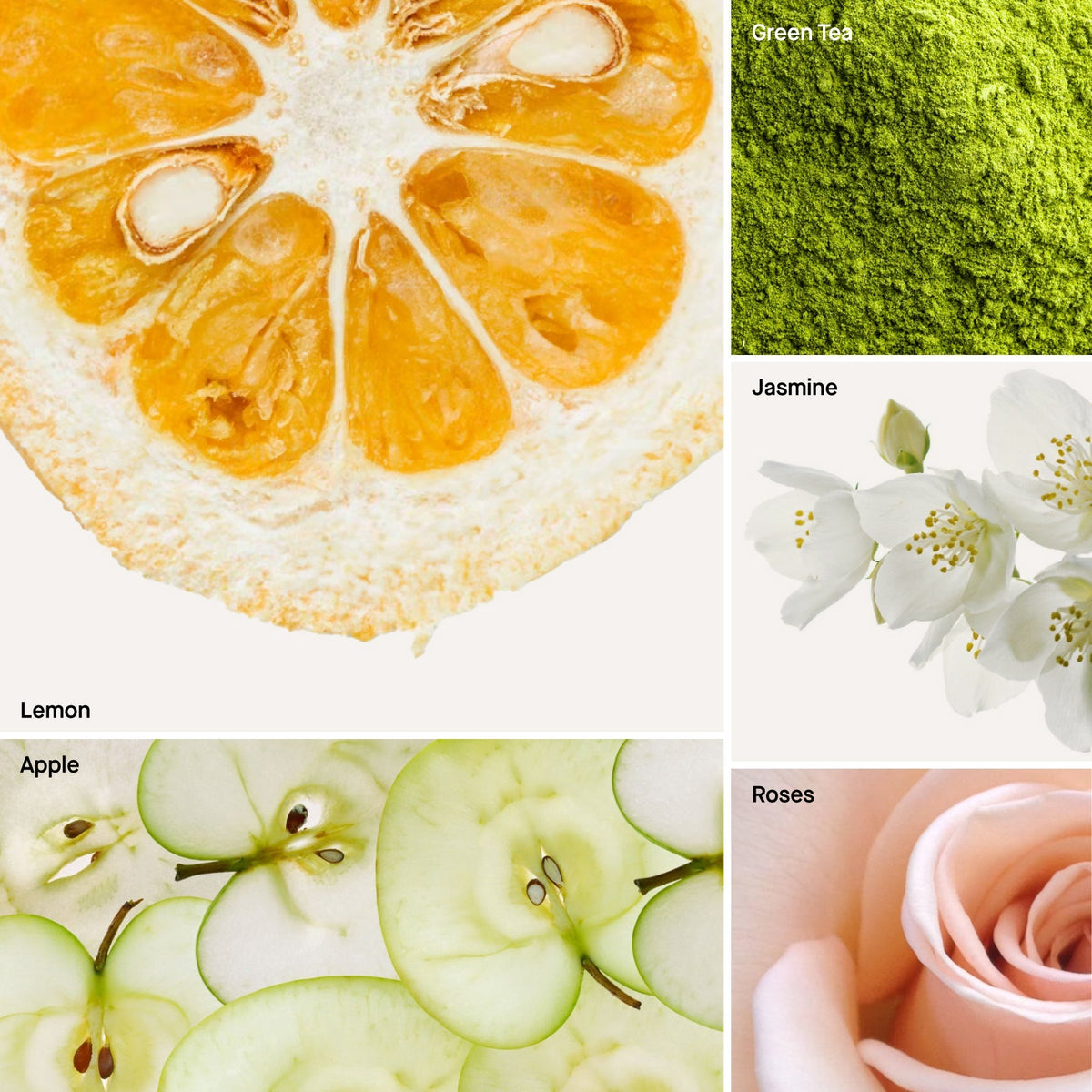 Scent ingredient collage: lemon, green tea, apple, jasmine and roses