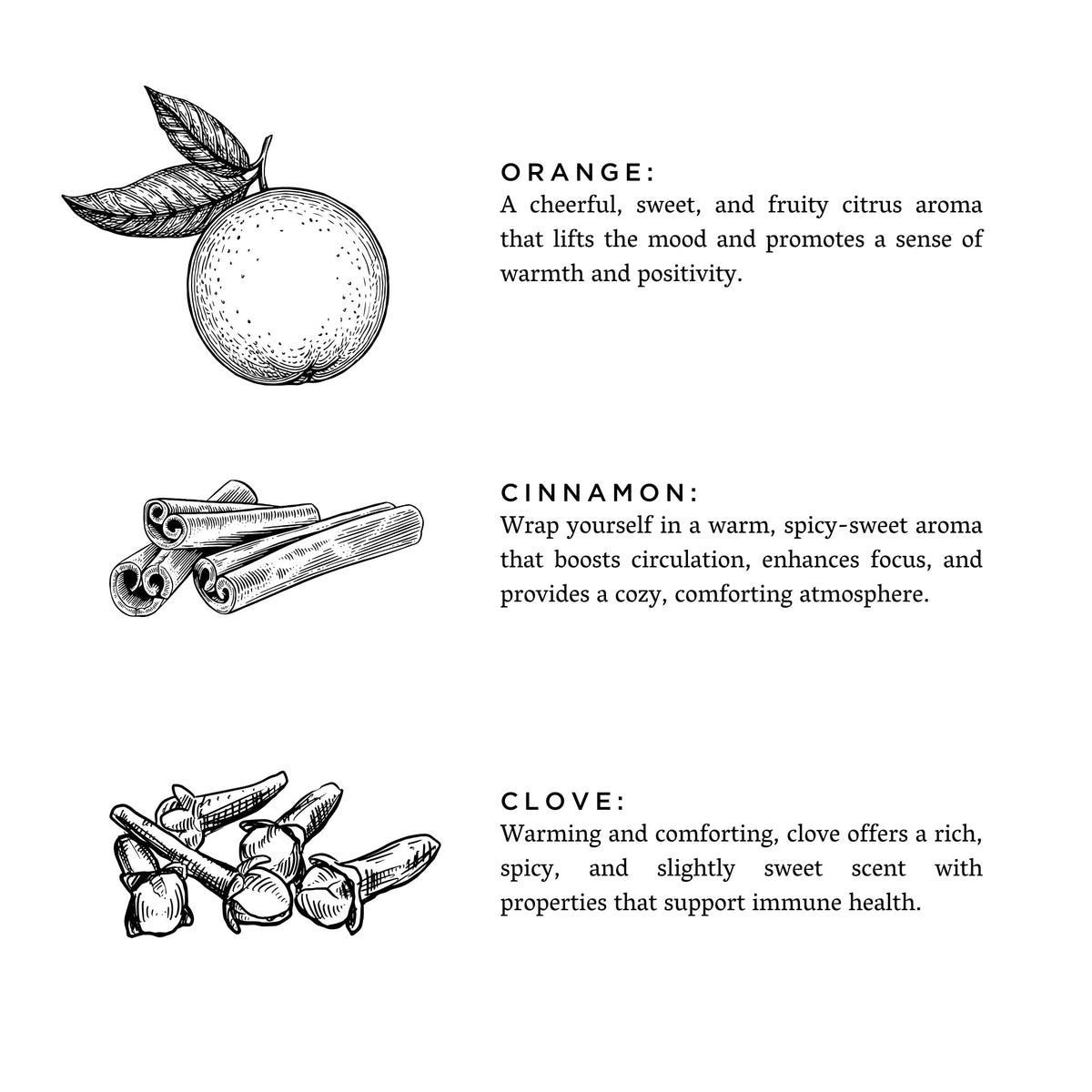 Scent notes graphic for Orange, Cinnamon, and Clove with botanical line drawings