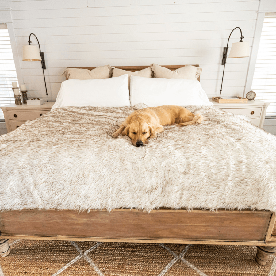 White shaggy waterproof throw blanket on bed with tan dog lying on top