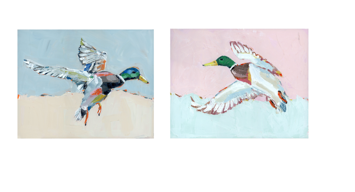Set of mallard duck flight prints on blue and pink backgrounds, framed side by side