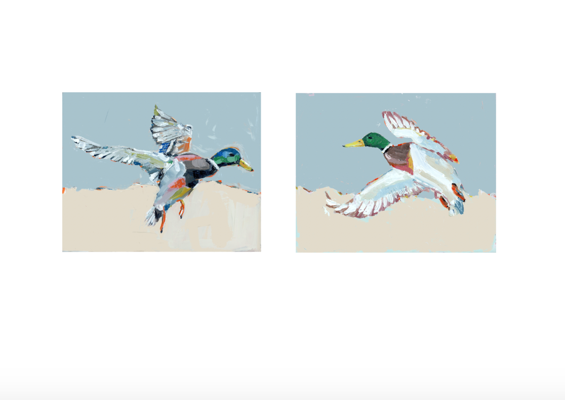 Pair of framed mallard duck flight prints with blue tones and colorful wings