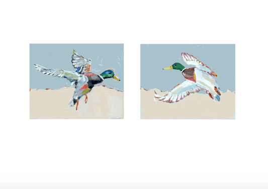 Pair of framed mallard duck flight prints with blue tones and colorful wings