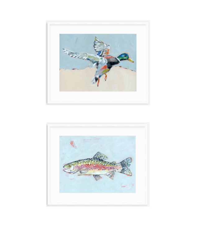 Two white-framed fine art prints showing a mallard duck and a fish