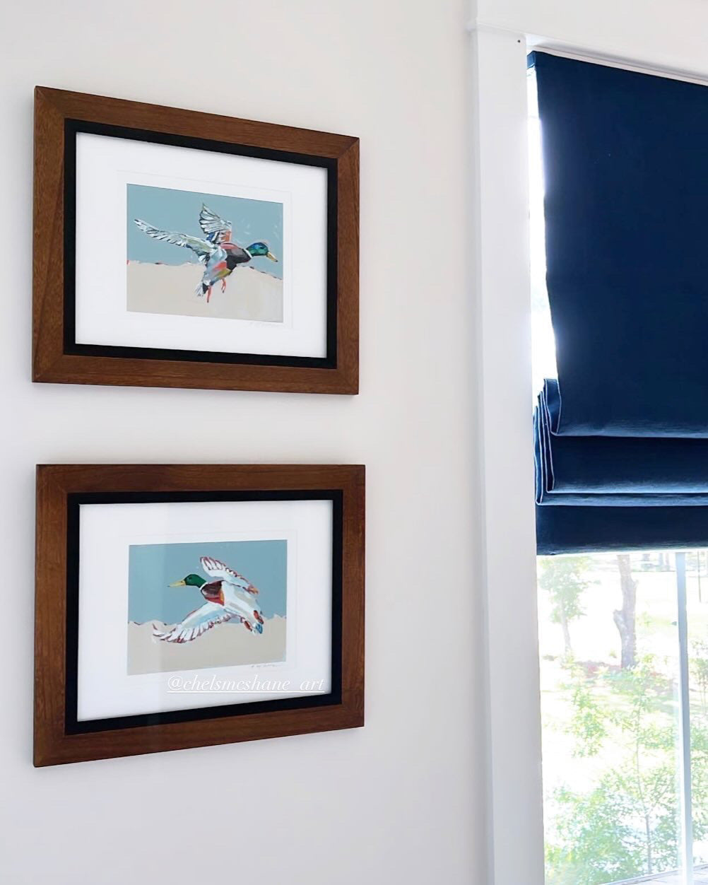 Wall display of two framed mallard duck flight prints with dark wood frames