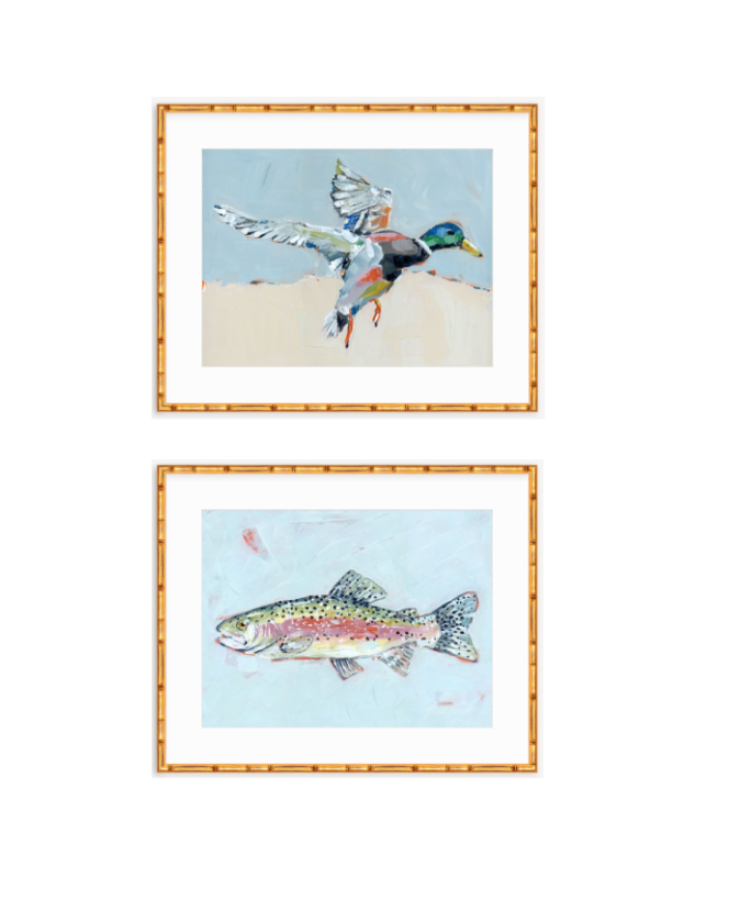 Two framed fine art prints with a mallard duck and a fish illustration