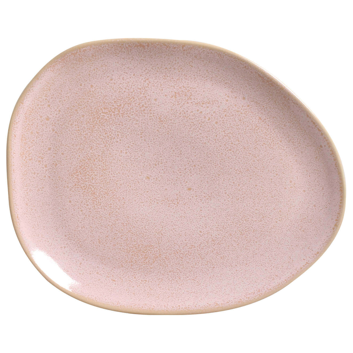 Oval Dinner Plate Set of 6