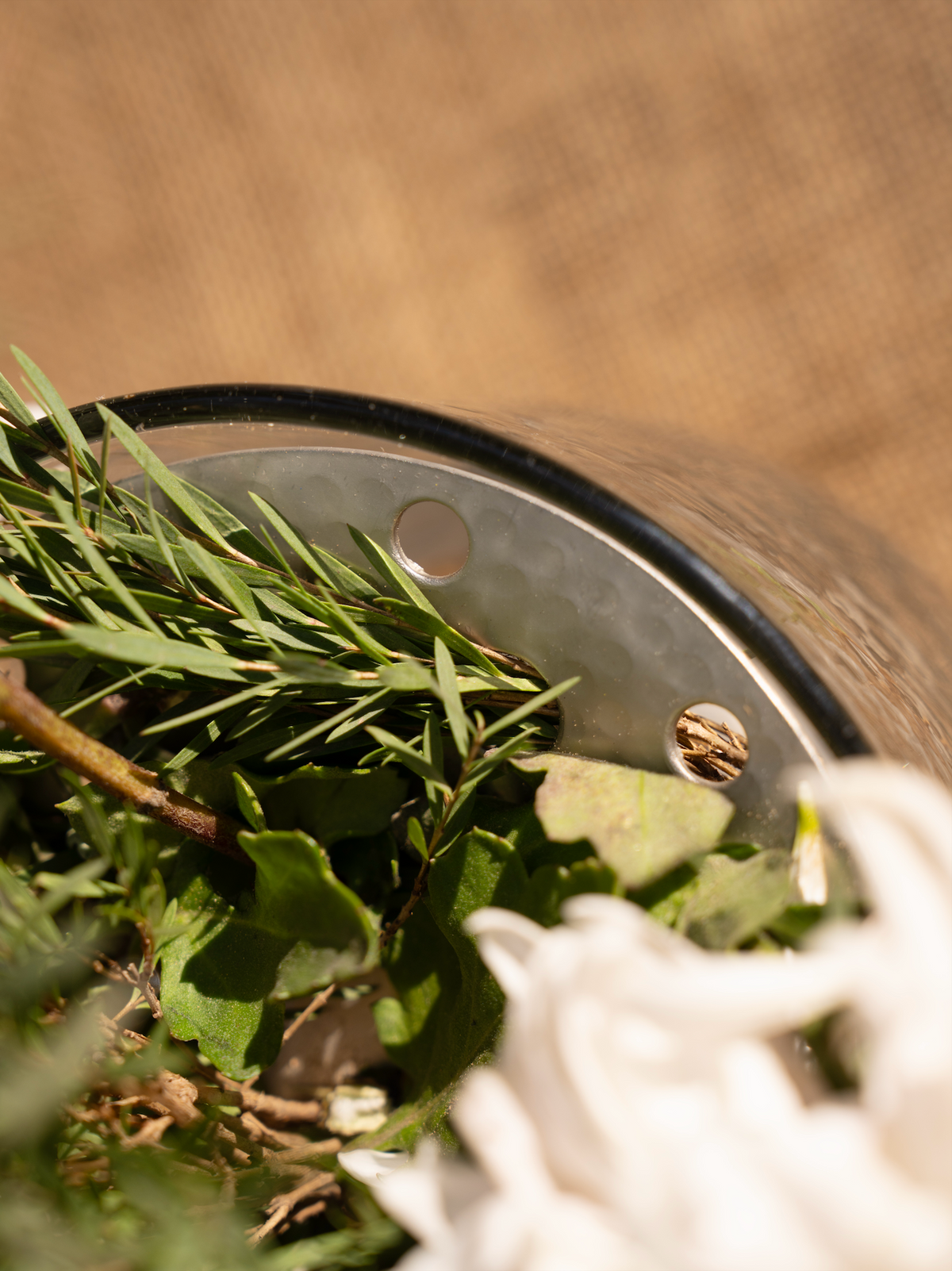 Close-up of perforated flower frog insert with green stems inside a glass bowl