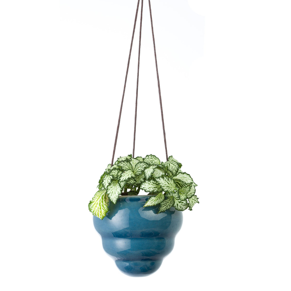 Hanging blue ceramic vase planter with leafy green trailing stems