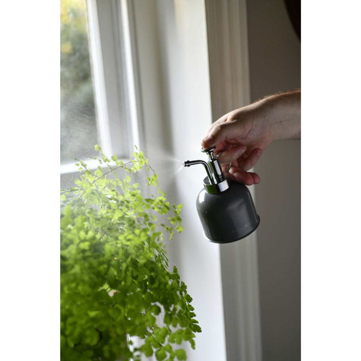 Hand spraying charcoal indoor plant mister near window with leafy plant