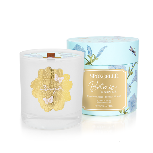 Spongellé Botanica tobacco flower candle in glass jar with floral box