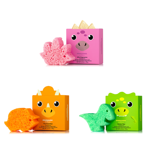 Assorted sponge dinosaur set with pink, orange, and green boxes and matching sponges