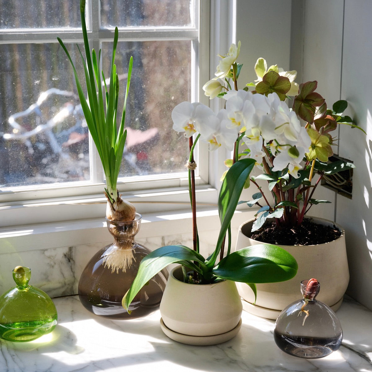 Multiple acorn-shaped glass vases in green and clear with flowers on windowsill